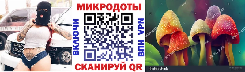 Псилоцибиновые грибы Magic Shrooms как найти наркотики kraken ССЫЛКА Ершов